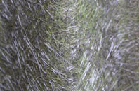 Kettlebaston fibreglass roof work